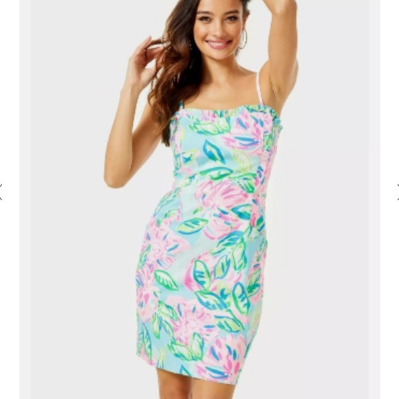 Lilly Pulitzer Dresses & Skirts - NWT Lilly Pulitzer Brenda Dress